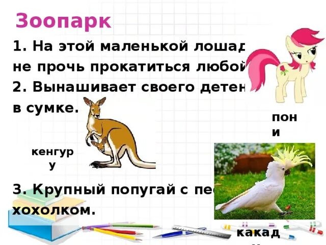 Какаду несклоняемое. На этой маленькой лошадке не прочь прокатиться любой из вас. предложение со словами кенгуру и какаду. окончание в слове кенгуру и пони. несклоняемое слово попугай?.