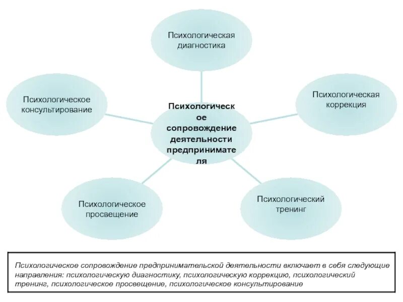 Психология предпринимательства презентация. Психологическое сопровождение деятельности. Способы психологического сопровождения предпринимателей. Психологическая диагностика.