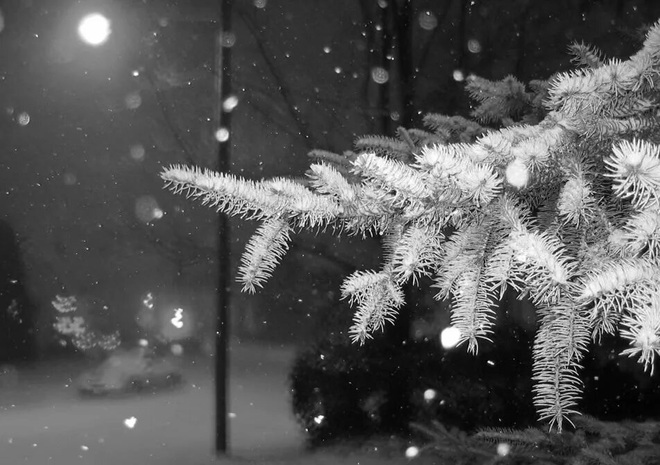 Снег идет пушистый белый. Елка в снегу. Пушистый снег. Падающий снег. Новогодний снегопад.