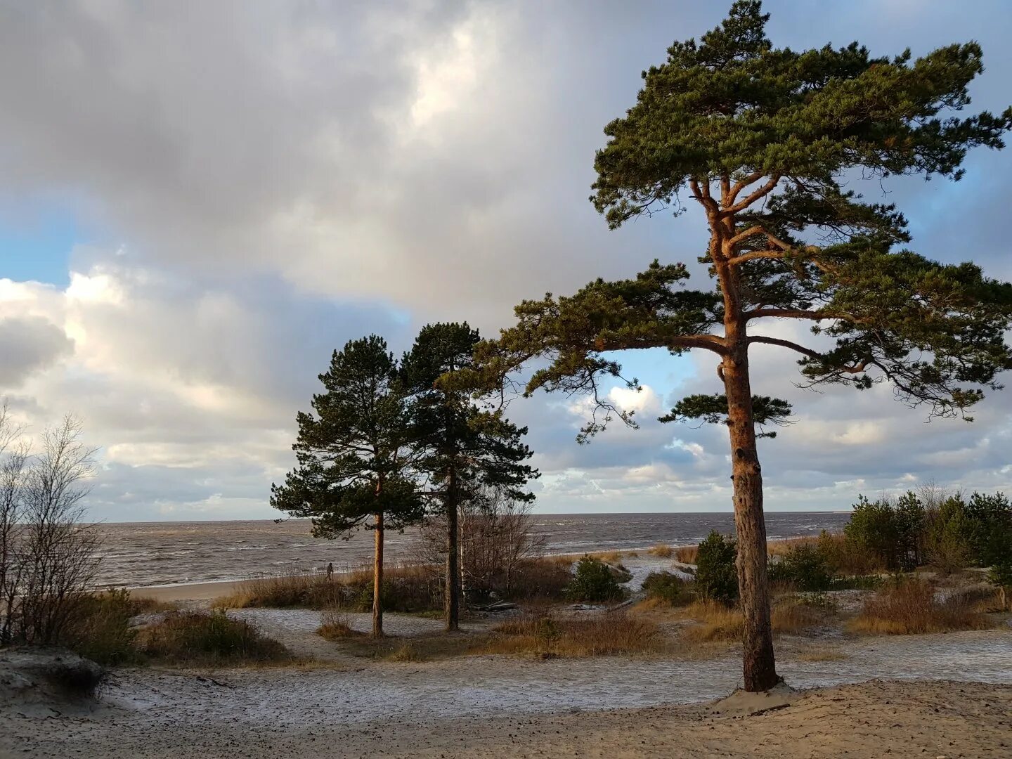 остров ягры архангельск. ягры море дюны сосновый бор. северодвинск остров ягры набережная. дюны на острове ягры. сосновый бор ягры северодвинск.