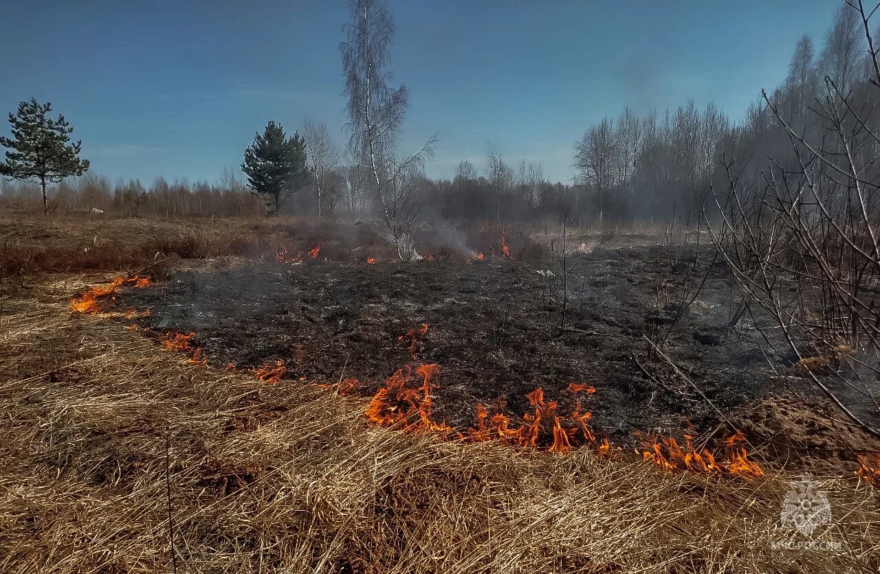 Пал сухой травы МЧС. Природные пожары. Пожар весной. Весенние пожары. Пал травы картинка