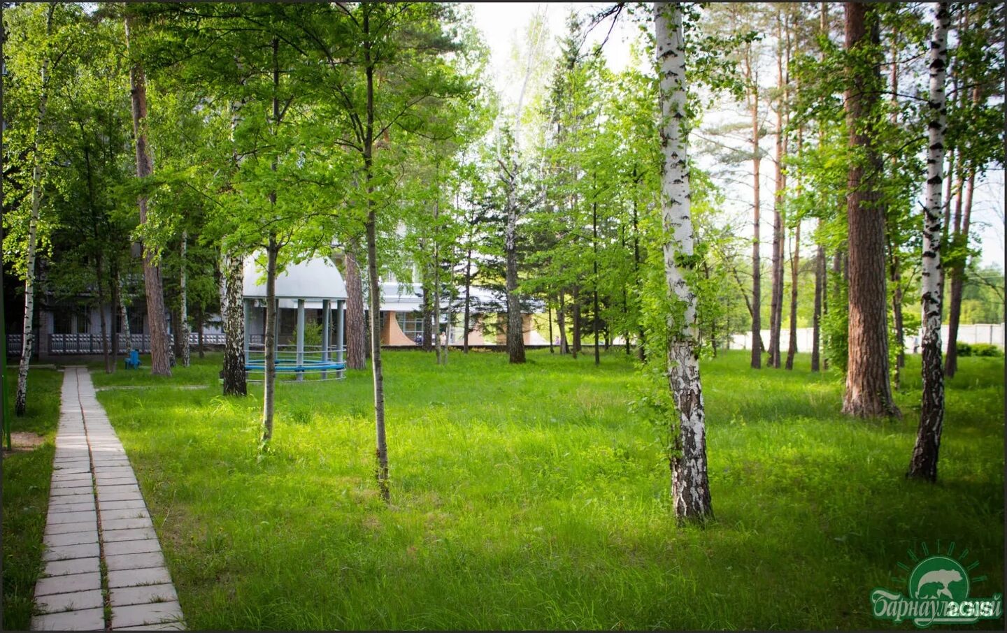 санаторий барнаул медведь. город барнаул санаторий барнаульский. санаторий алтай барнаул. город барнаул санаторий барнаульский. город барнаул санаторий барнаульский.