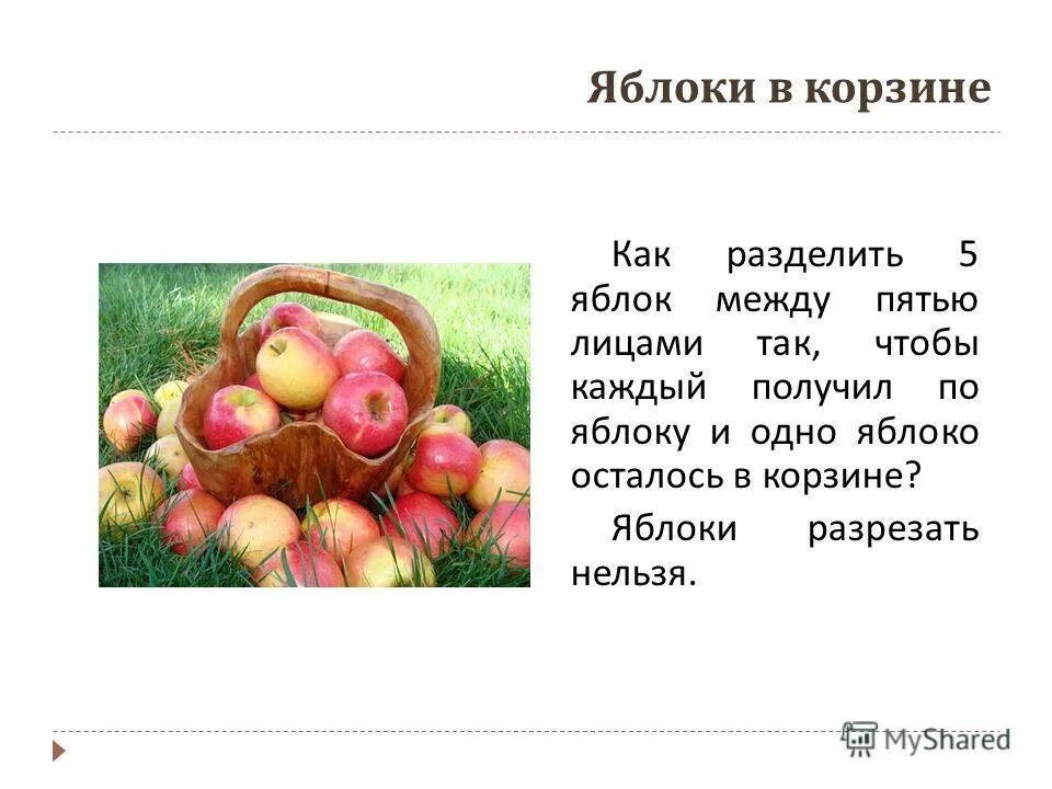 Как разделить пять яблок между пятью. Как разделить пять яблок между пятью. Как разделить пять яблок между пятью. Пять яблок. 5 девочек 5 яблок.