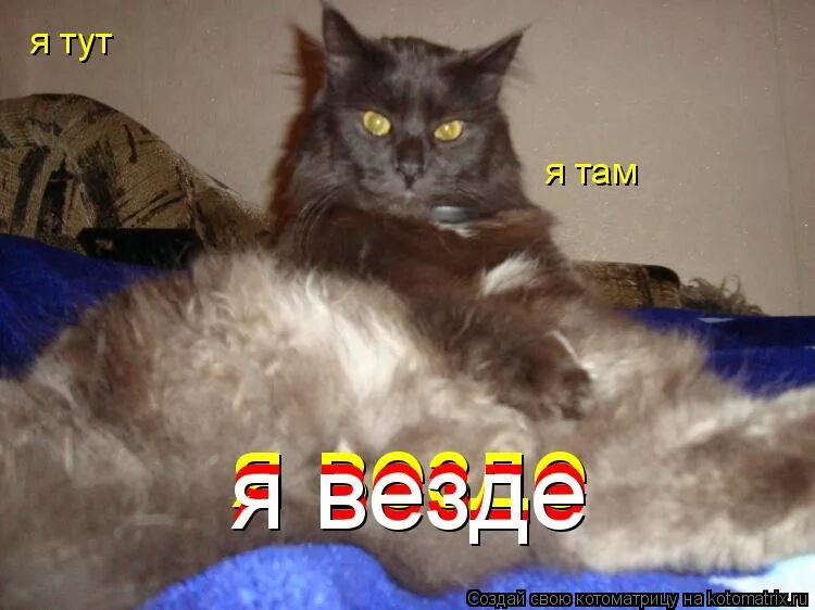 Домашняя работа надпись. И т д и тут. И т д и тут. И так сойдет мем. Хатико ждет.