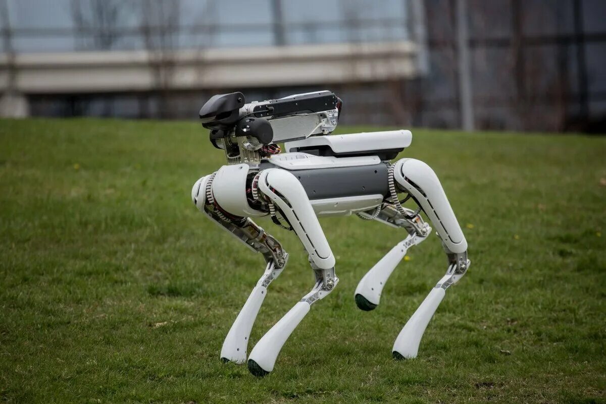 Робаты. Робот Бостон Динамикс. SPOTMINI робот. Робот собака Бостон Динамикс. Робособака spot Mini.