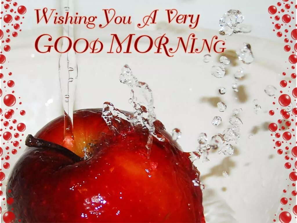My very good. Good morning Wishes. Good morning Wishes and Greetings. Good morning best Wishes. Wishing good morning.