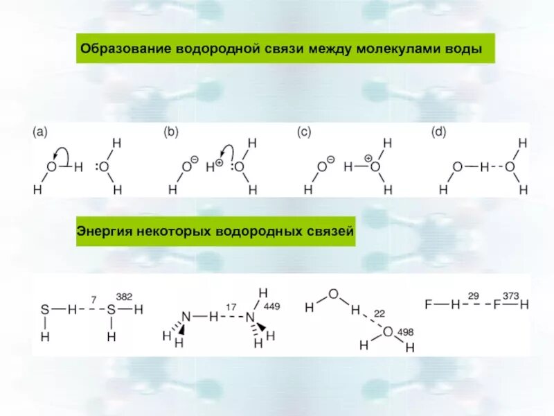 Метан водородная связь. Образование водородных связей между молекулами. Схема образования водородный связи между молекула ми воды. Схема образования водородной связи между молекулами спирта. Схема образования водородной связи между молекулами воды.