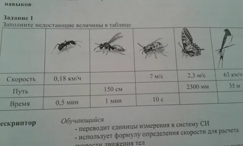 Заполните недостающие