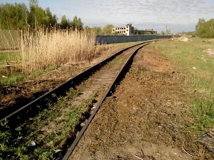 Ветка железной дороги