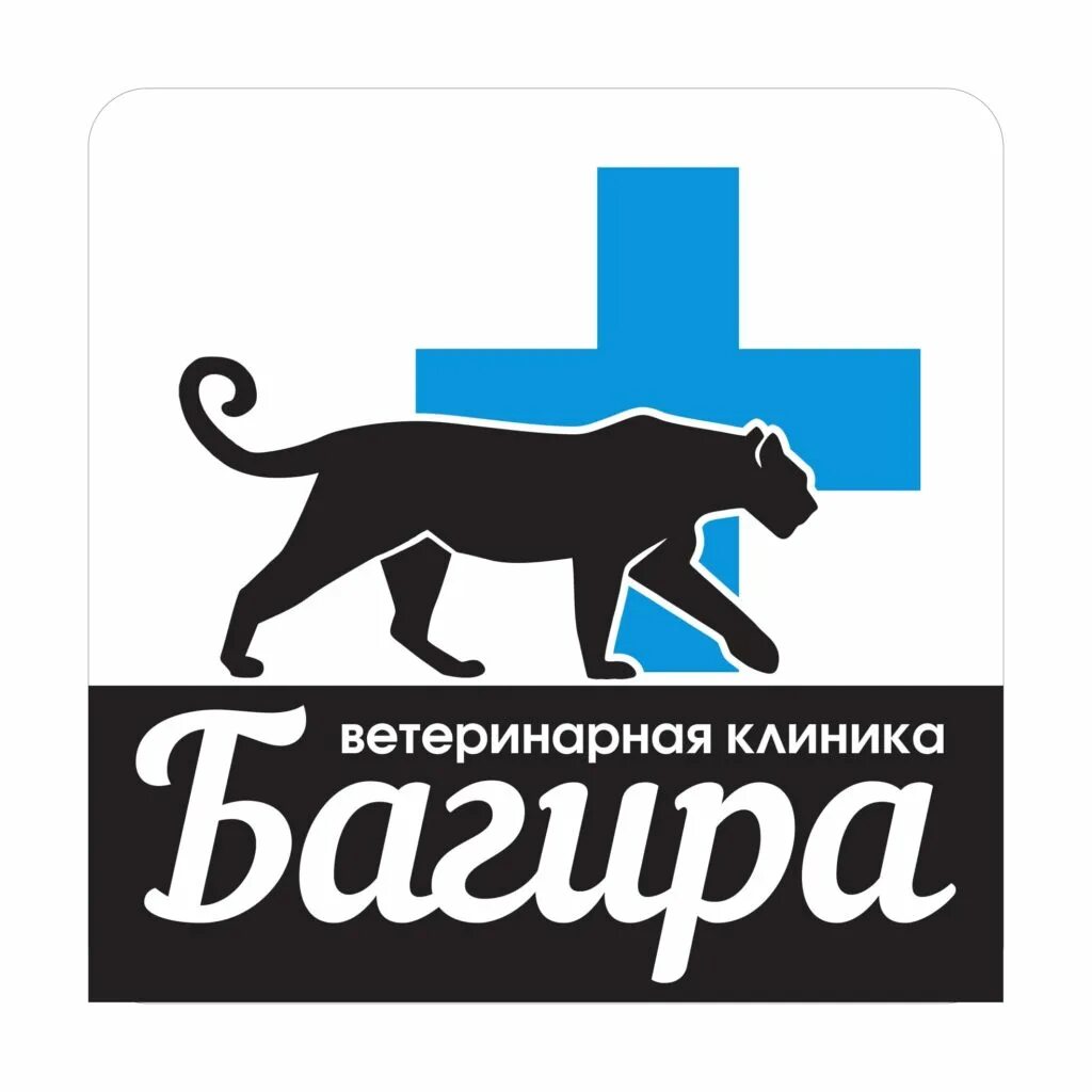 Ветклиника багира