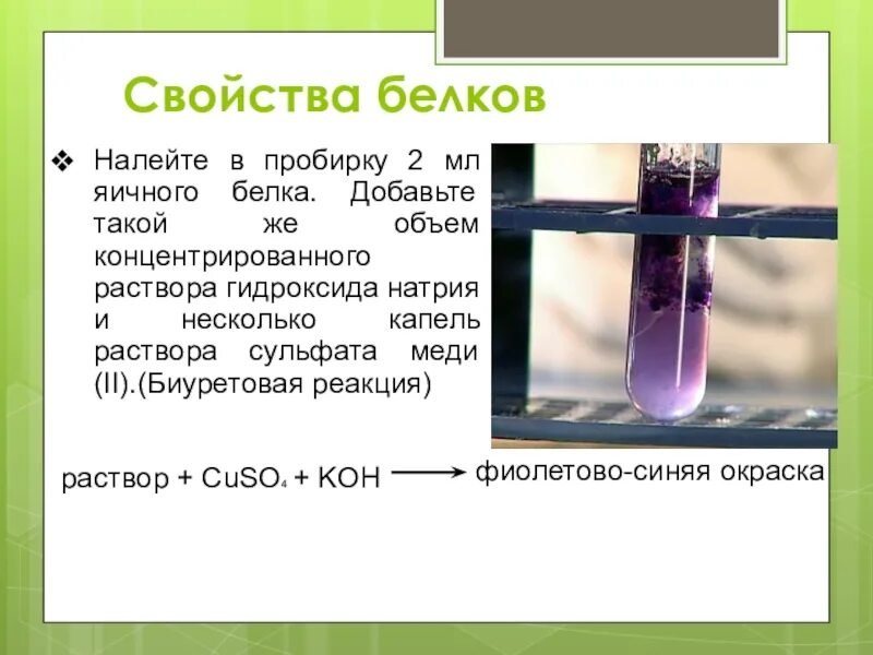 Раствор белка с раствором сульфата меди 2. Биуретовая реакция с сульфатом меди. Биуретовая реакция белков. Биуретовая реакция на белки. Сульфат меди 2 азотная кислота концентрированная