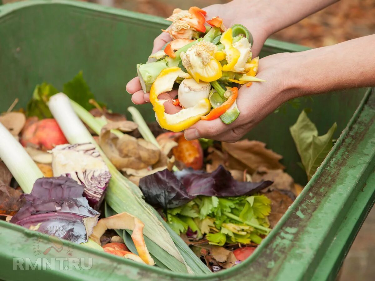 Органических отходов. Переработка пищевых отходов. Отходы еды.