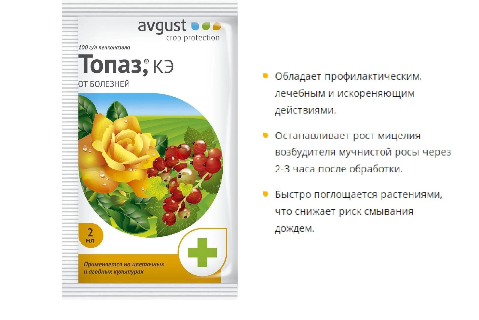 Топаз 10 мл. Топаз фунгицид. Топаз пенконазол. Топаз syngenta 100 мл. Фунгицид топаз, кэ (2 мл).