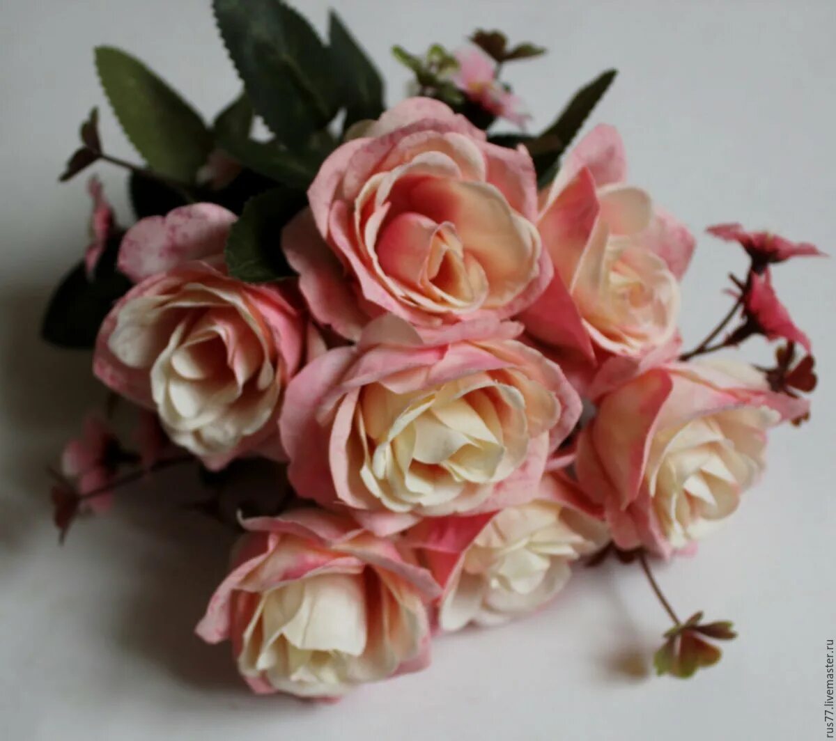1,666 Single Dried Rose Petal Stock Photos - Free & Royalty-Free Stock Photos fr