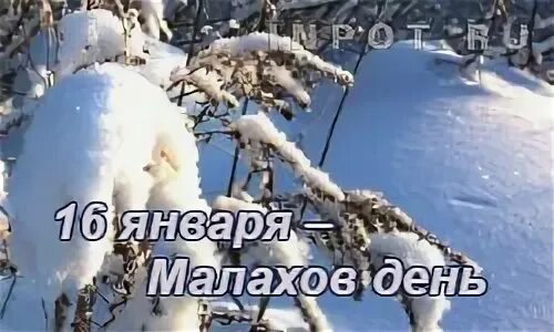 Иван Молчальник-традиции, обряды, приметы. 2023, Алексеевский район - дата и мес