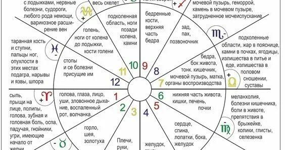 За что отвечают дома в астрологии в натальной карте. Дома в натальной карте за что отвечают. Обозначение домов в астрологии в натальной карте. Дома планет в натальной карте. Что означает 6 12