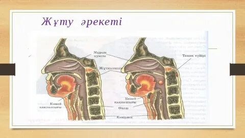Украиндық жас порно