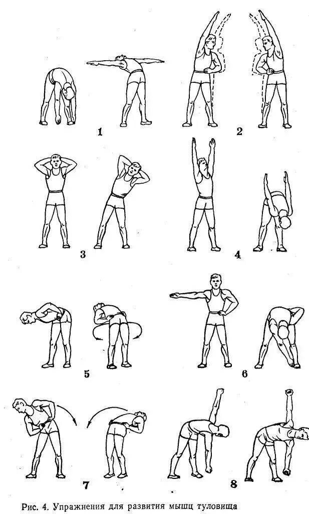 Какие упражнения для развития мышц. Комплекс упражнений для туловища на физре. Разминочный комплекс упражнений для мышц спины. Разминочные упражнения для гимнастики. Упражнения для разминки туловища.