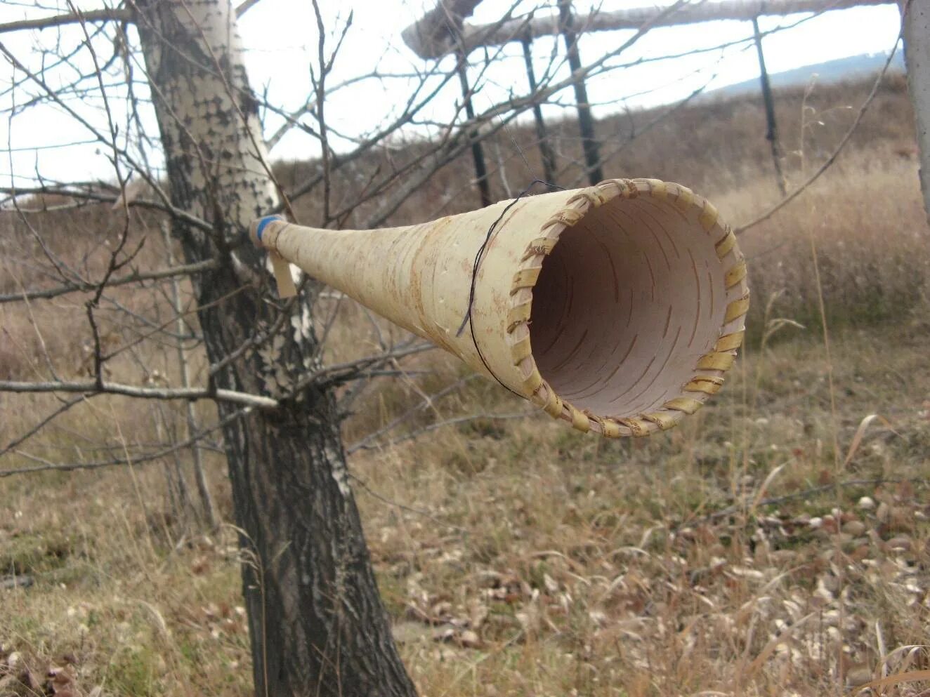 Манок buck expert на лося mini. Канадский манок на лося. Манок гусь рупор. Манок на лося на реву. Пиканти манок.