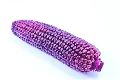Фиолетовый цвет кукурузы