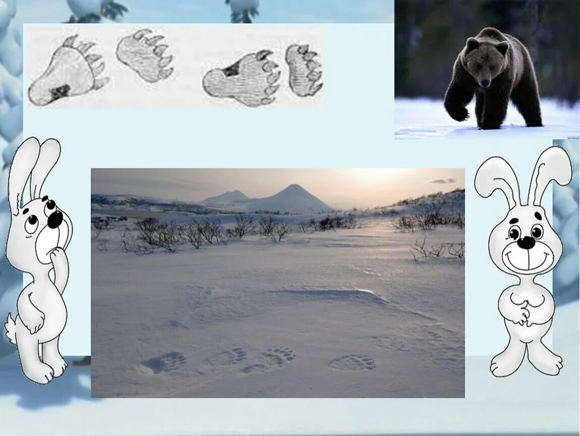 След играй. Следы животных на снегу. Чьи следы на снегу. Следы животных на снегу для детей. Следы животных для детей старшей группы.