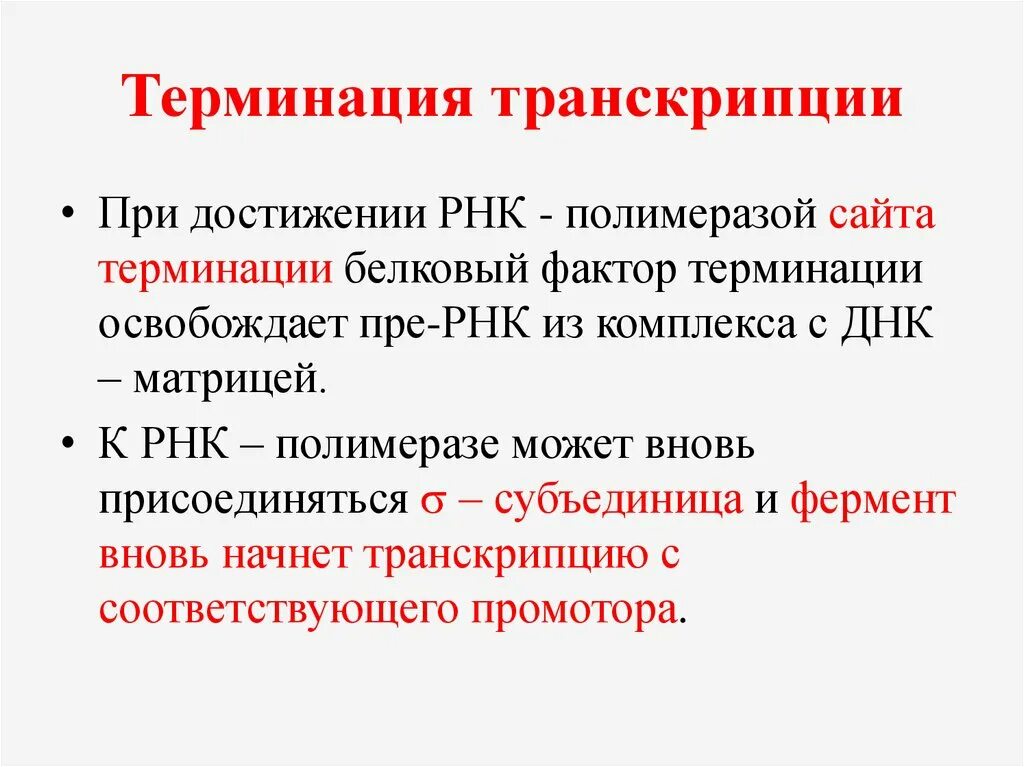 Роль транскрипции. Транскрипция ДНК ферменты. Ферменты транскрипции. Транскрипция. Ферменты. Этапы транскрипции. Этапы транскрипции терминация.