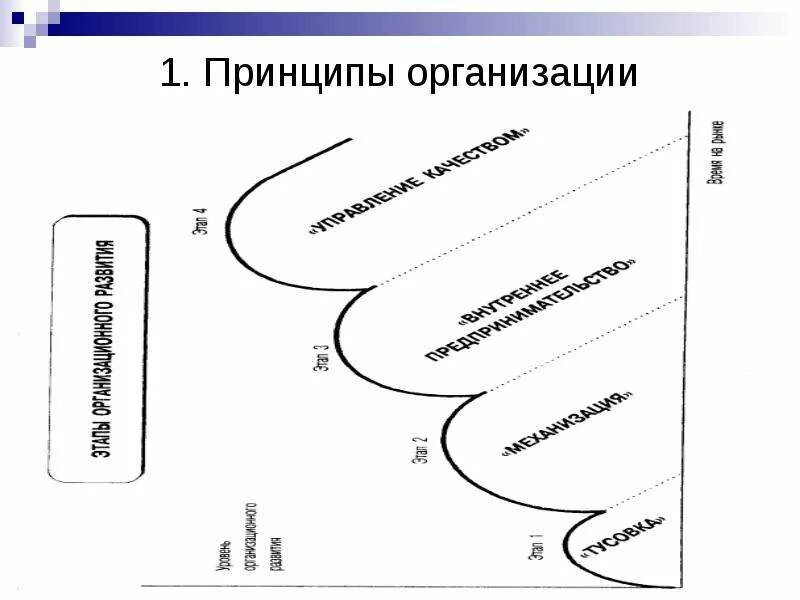 Законы функционирования организации. 1. Закон функционирования организации Цельса:. Основные принципы функционирования организаций