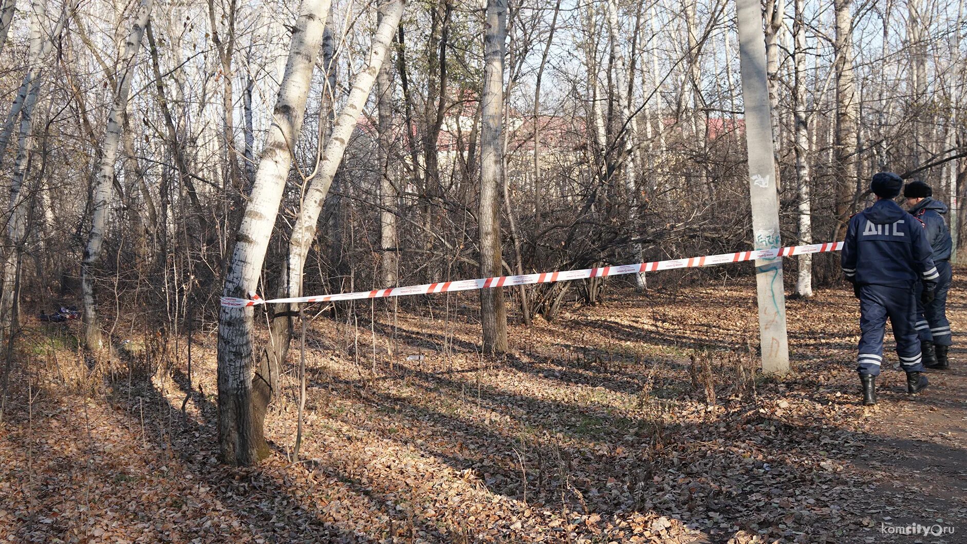 Сторож в комсомольске на амуре. Обезглавленное тело в лесу. Трупы в парке Комсомольск.