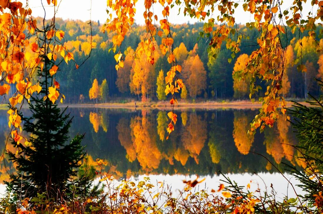 тютчев есть в осени. ф. тютчев короткая но дивная пора. стих тютчева есть в осени первоначальной короткая но дивная пора. есть в осени хрустальной.