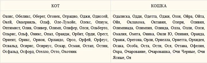 Клички котов на букву с. Клички для кошек с буквой с. Имена для котов на букву с. Клички котов на букву с мальчик.