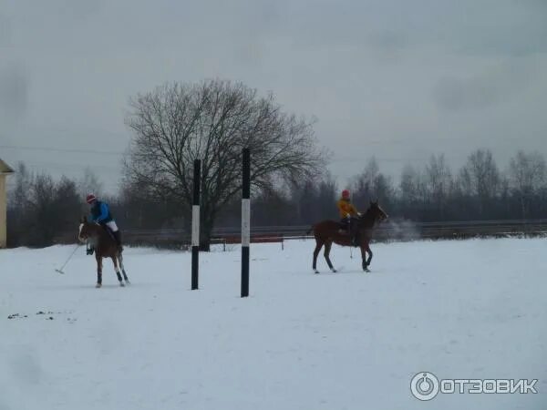 ОУСЦ Планерная Химки. Планерная лыжная база. Лыжная трасса Планерная Химки. Спорткомплекс Планерная Химки.