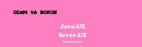 Саг ва одам