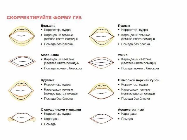 Губы мужчины характеристика. Формы губ. Корректировка формы губ. Виды губ. Форма ГУП.