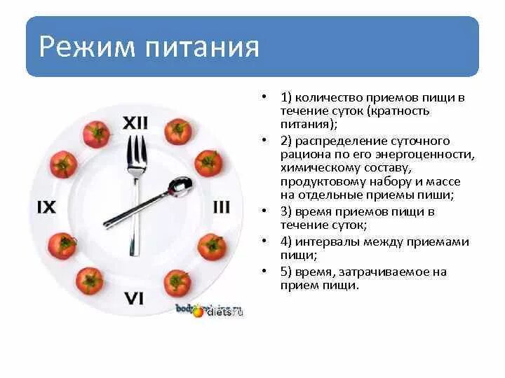 Когда оптимально должен быть последний прием пищи