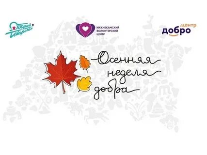 День добрых дел 2024