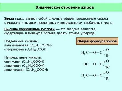 Органические кислоты и жиры