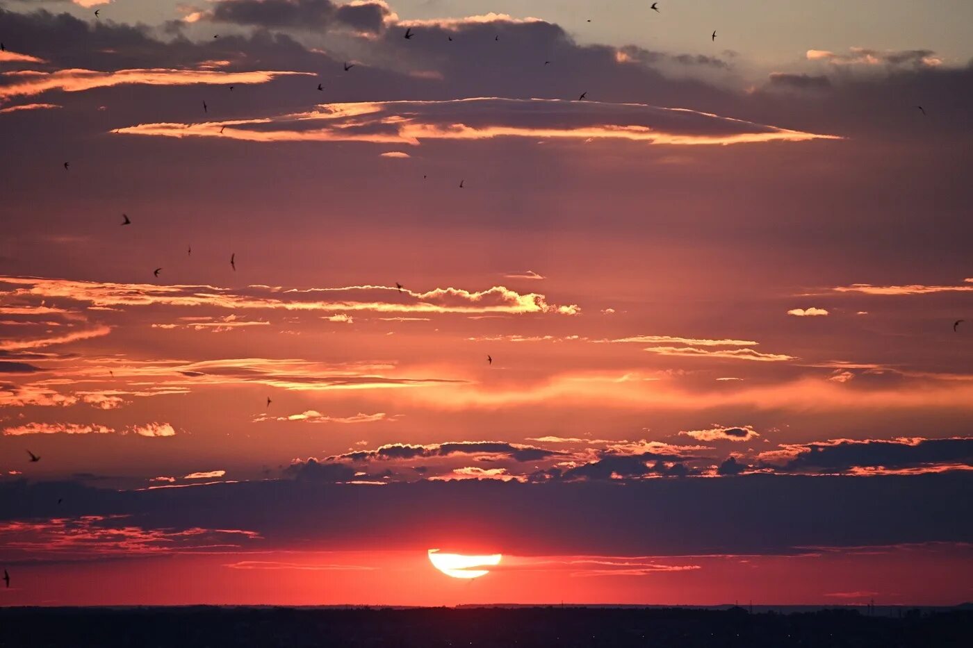 Сидней закат солнца луна. Июнь закат. Закат 6 февраля. Закат 6 февраля. Закат 6 февраля.