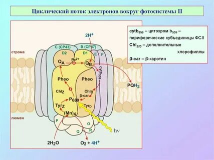 Путь электронов