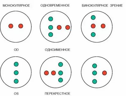 Прочитайте текст расположенный справа бинокулярное