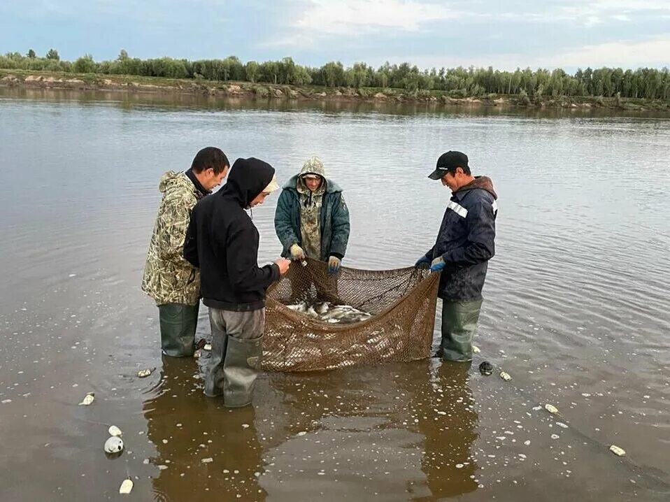 Погода исеть на 10. Площадь молодежная исетское. Погода исеть на 10. Погода в исетское тюменской. Промысловая рыбалка.