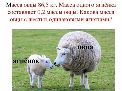 Общий вес это