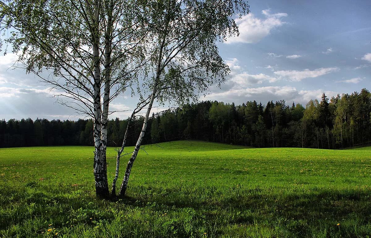 Май фото природы