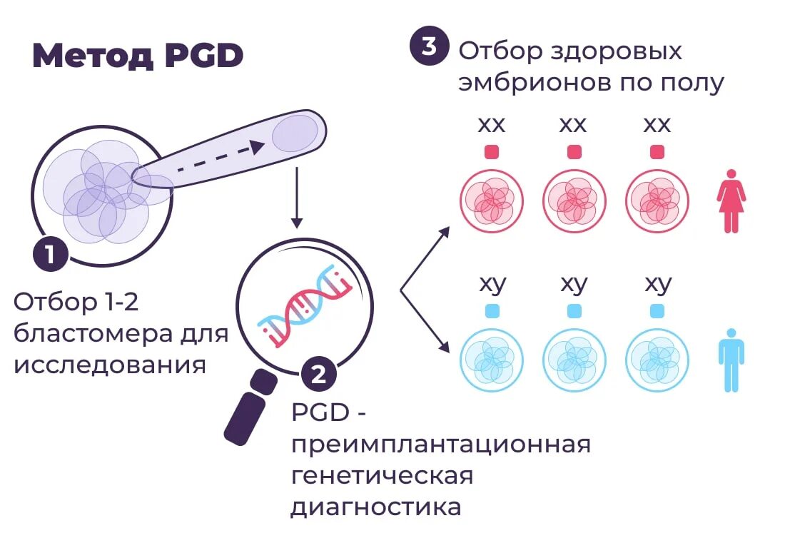 Выбирают ли пол ребенка при эко. Выбирают ли пол ребенка при эко