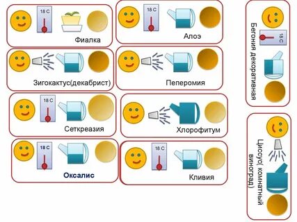 Схемы картинки ухода за растениями