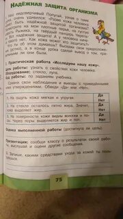 Практическая работа моя кожа 3 класс