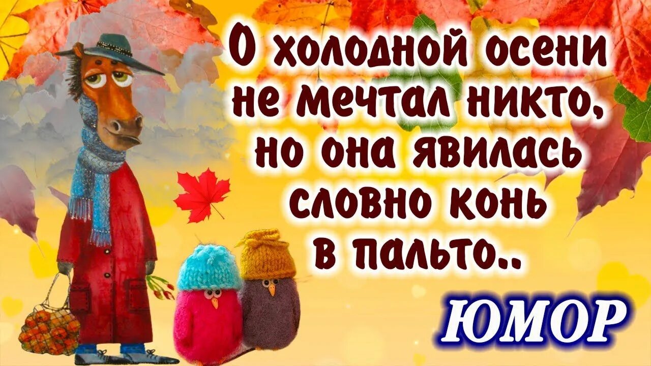 Веселые осенние с юмором добрыми картинки. Доброе утро осень прикольные с юмором. всего наилучшего этой осенью. шапочка у ментора осень смешная там такая цветная.