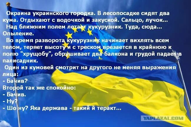 Анекдот про украинский. Анекдоты про украинцев. Анекдоты про Украину. Украинские анекдоты на украинском. Яка держава такий и теракт.