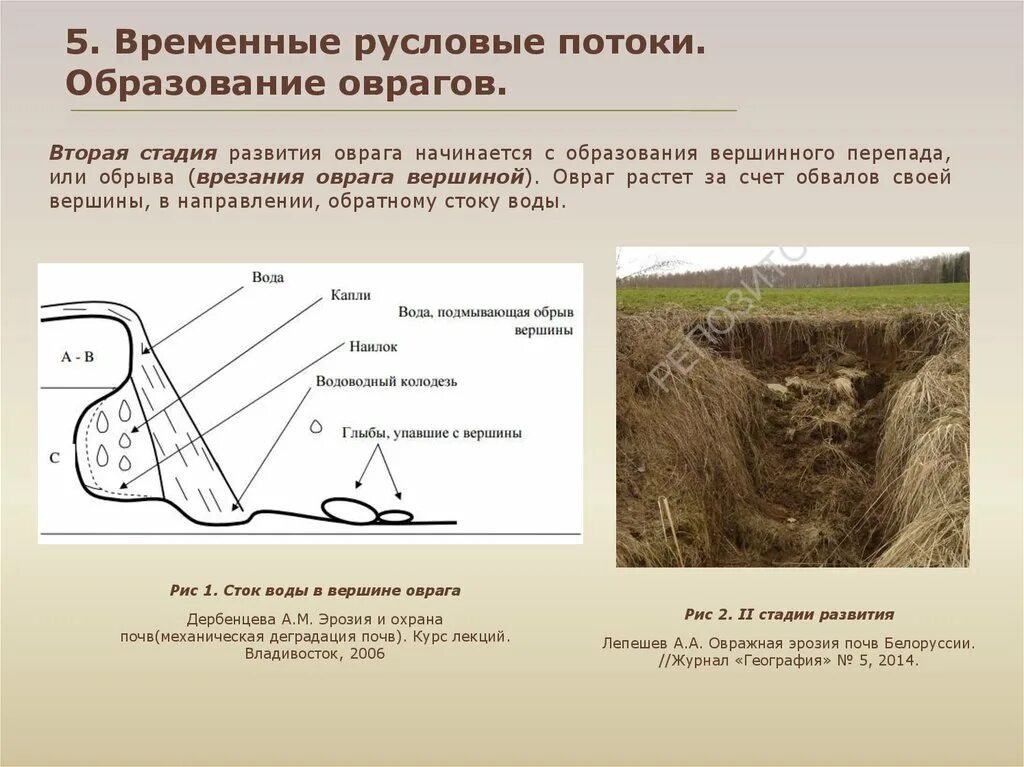 Что является причиной образования оврагов. Стадии образования оврага. Стадии формирования оврага. Схема образования оврага. Строение оврага.