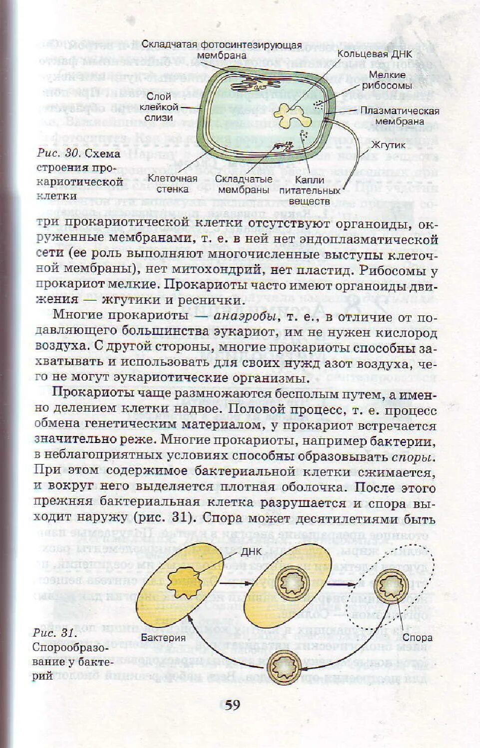 Биология 9 класс параграф 9 читать. Биология 9 класс Каменский Криксунов Пасечник. Книга по биологии 9 класс Пасечник Швецов. Биология 9 класс учебник Пасечник Каменский Швецов. Биология 9 класс Пасечник рис 9.