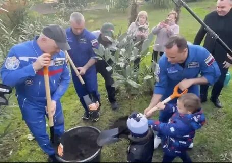 Сочи парк многодетным